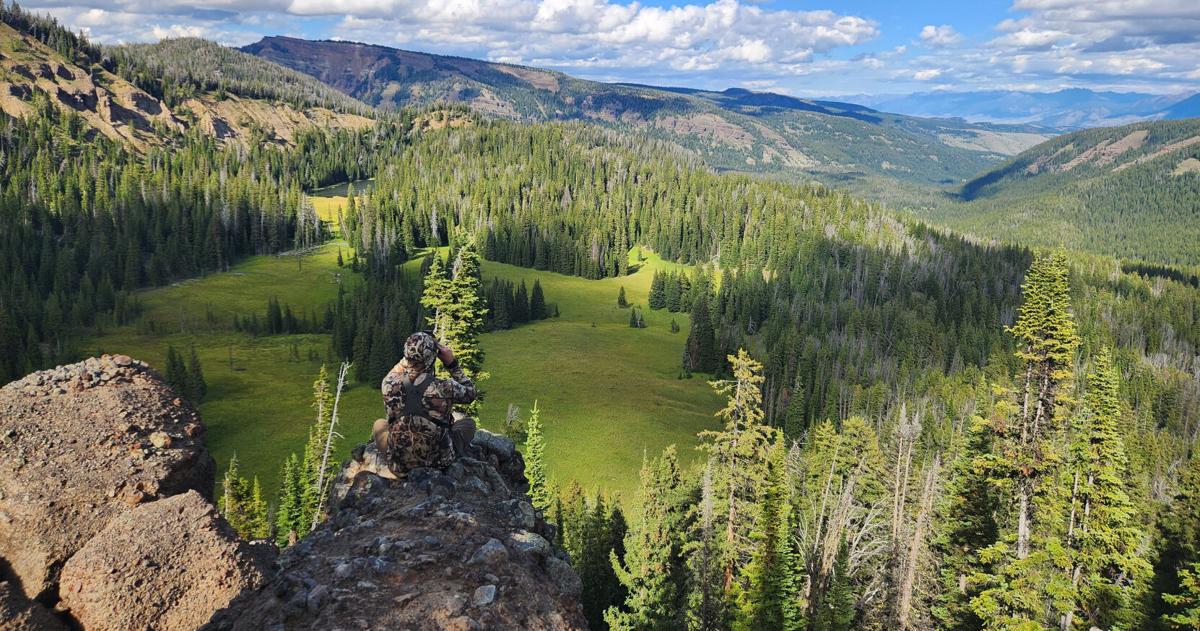 99% oppose ending national forest rule. It may happen anyway