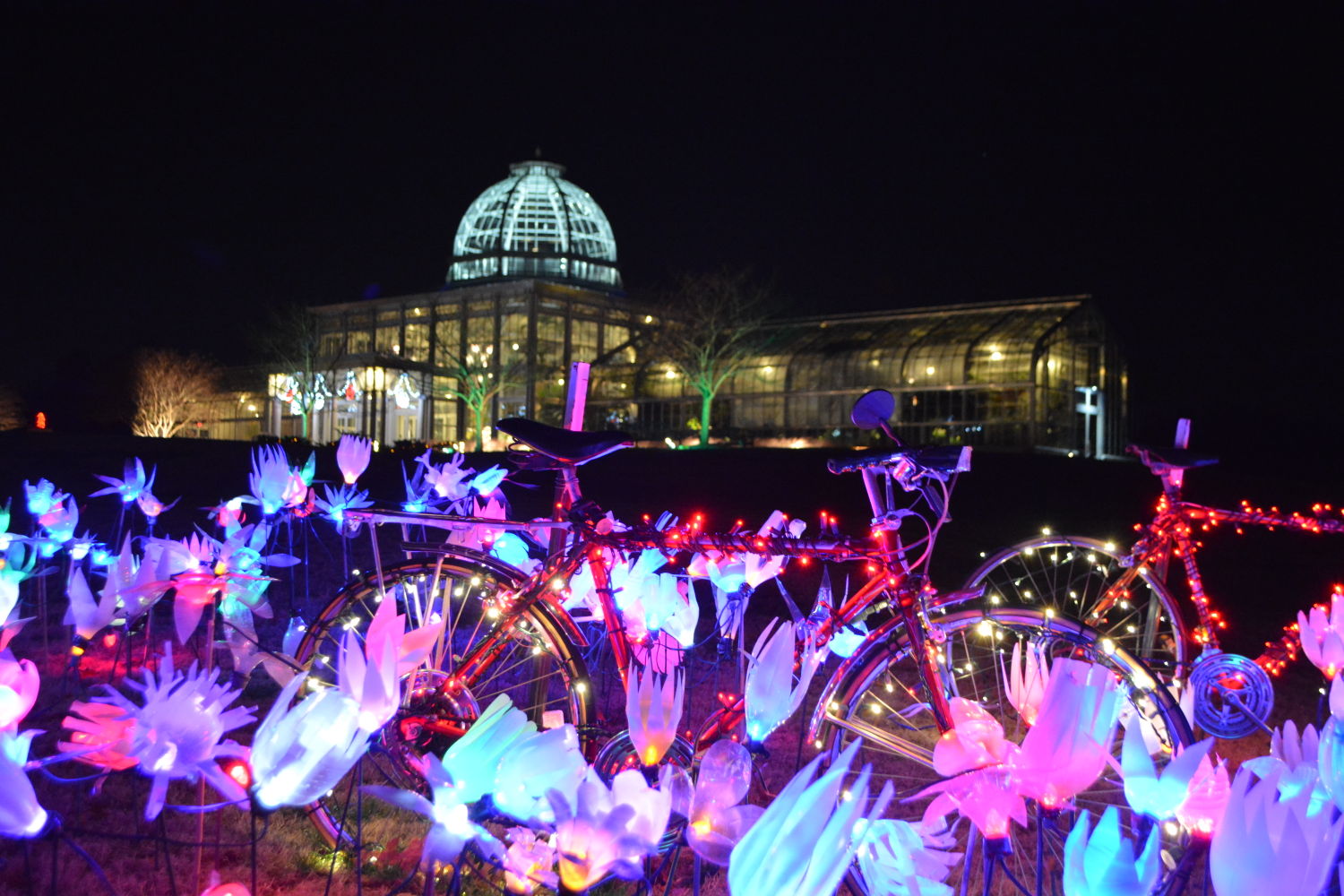 Dominion Gardenfest Of Lights At Lewis Ginter Botanical Garden