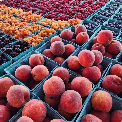 Charlottesville City Market 5.jpg