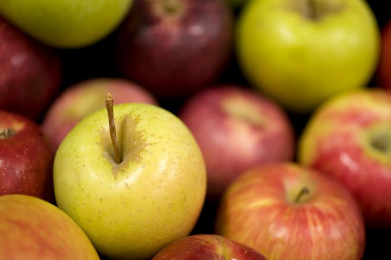 Time's ripe for Virginia apples