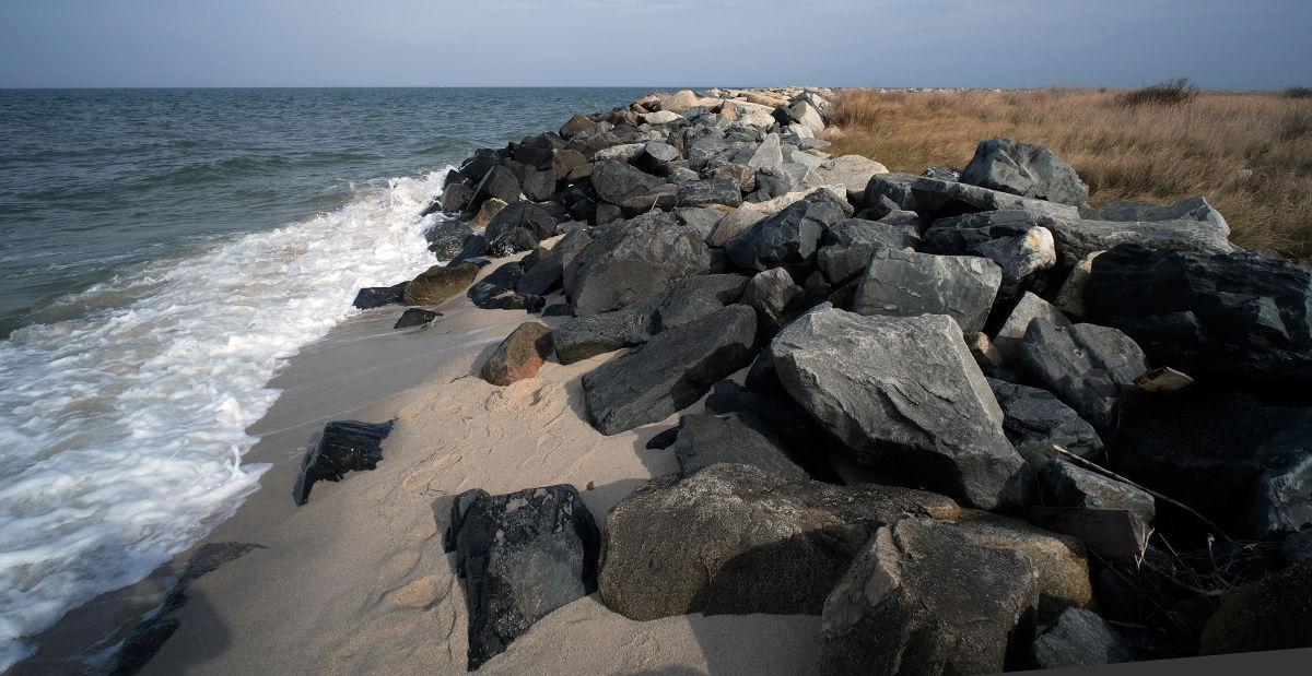 Tangier Island fights for its very existence Virginia