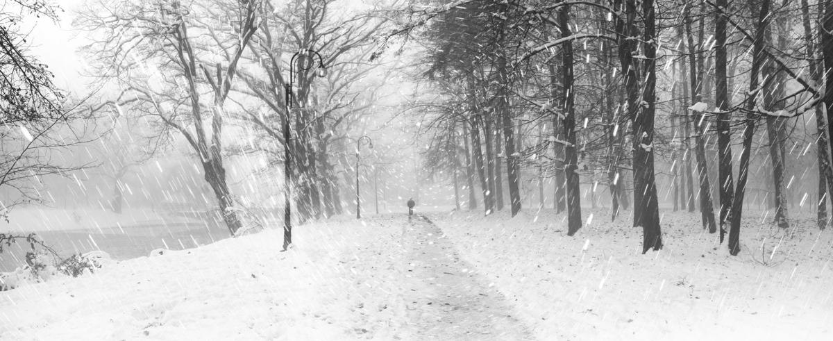Winter Brings Dark Dreary Days Don T Let Your Space Follow Suit