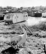 20160301_FEA_POD_p ++