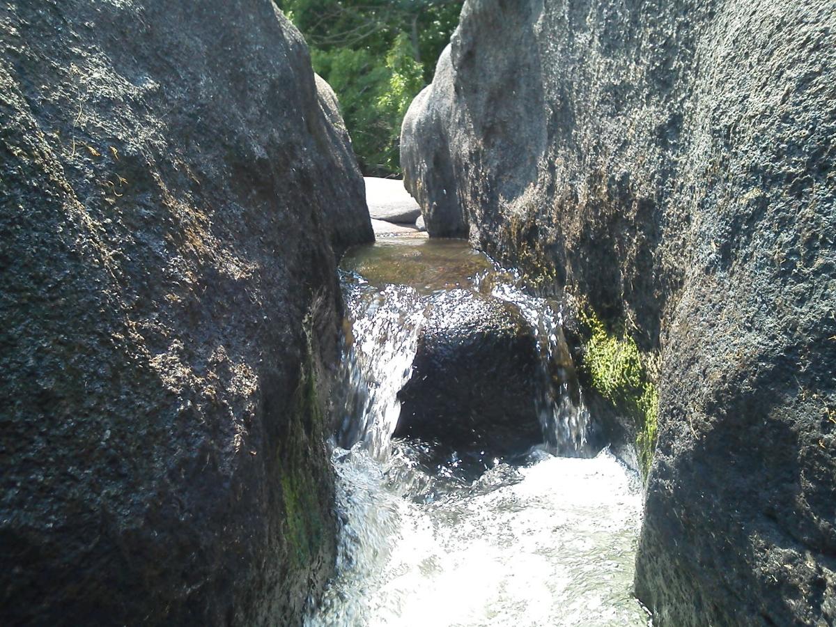PHOTOS End of Summer Pony Pasture Local