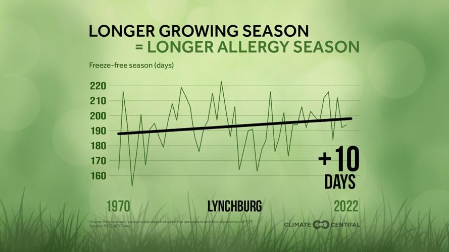 Pollen and Allergy Season: The Price We Pay for Living in a Lush Landscape
