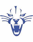 Deep Run logo