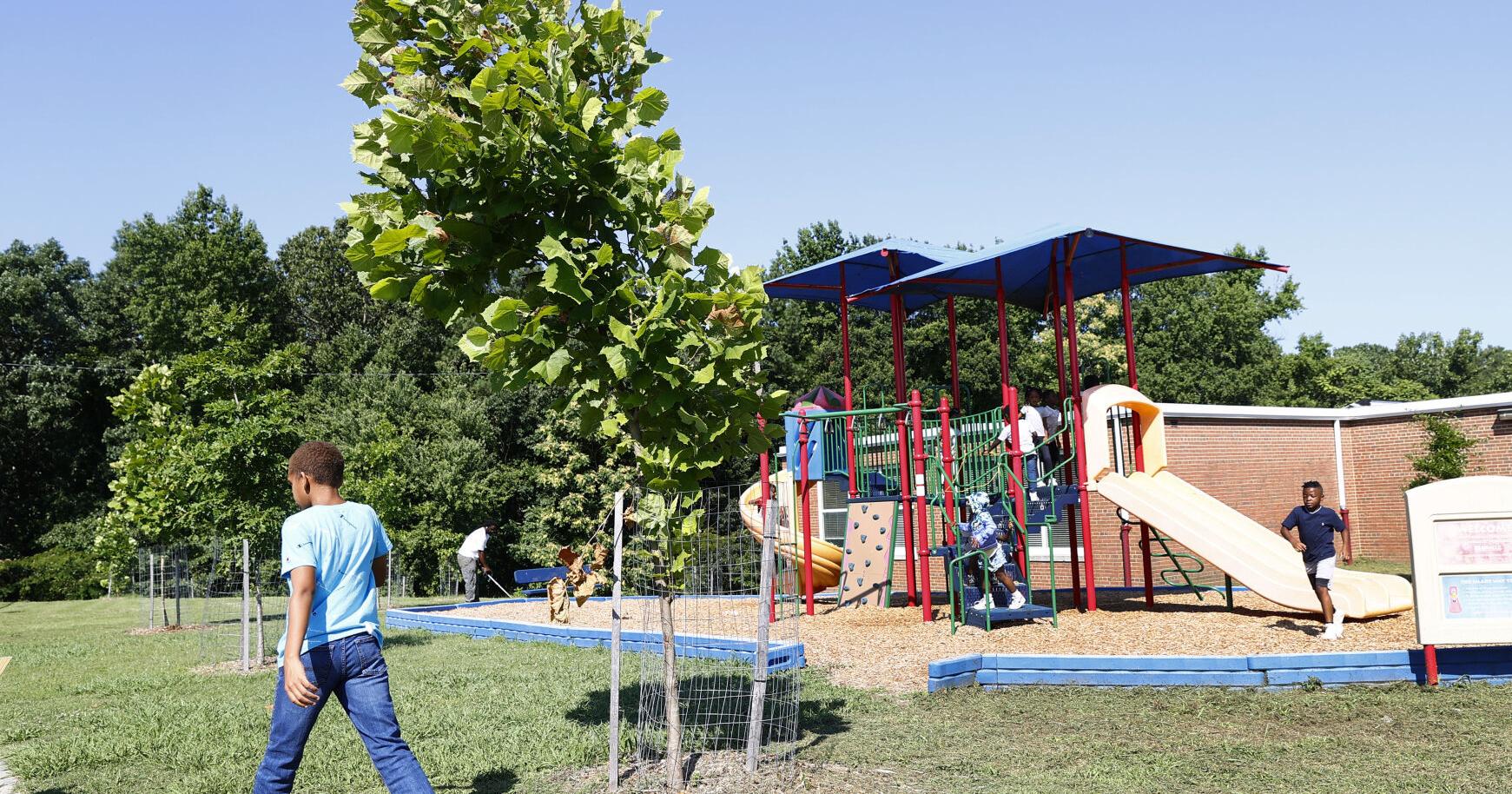 Chesapeake Bay Foundation partners to create green spaces - Vimarsana News