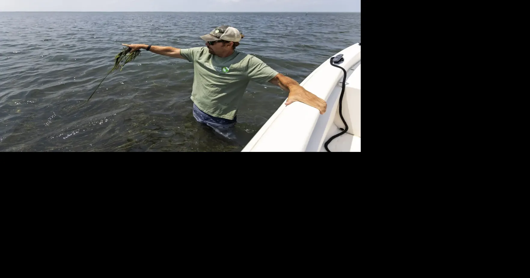 Eastern Shore seabed mining proposal threatens 60 years of conservation, environmentalists say Aug 5, 2026