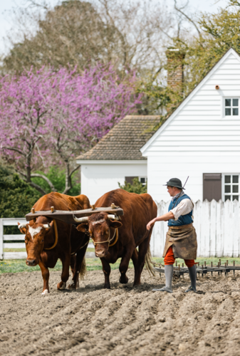 farmer interpreter