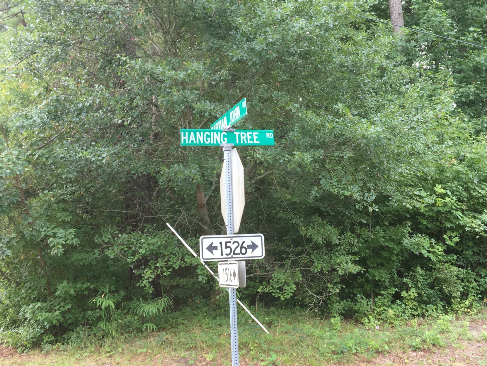 blackhead signpost road virginia