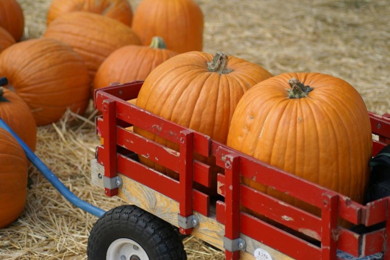 Pumpkin Patches and Hayrides