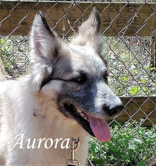 Aurora
