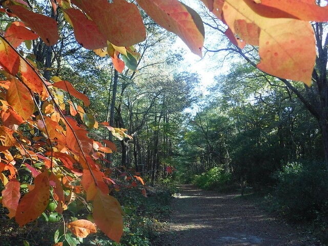 Fall on the East Coast