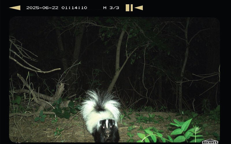 What’s In DWR’s Back Yard?