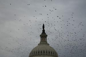 USA-CONGRESS/
