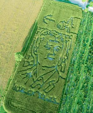 Indiana's Goebel Farms chooses Charlie Kirk image for corn maze