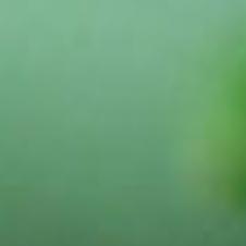 Ask Martha Making Flavored Oil Getting Rid Of Lady Bugs Entertainment Richmond Com Jonathan brandis as matthew/martha short clip from the film, ladybugs. ask martha making flavored oil