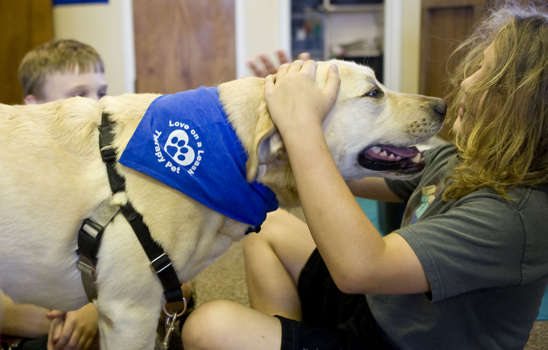 love on a leash therapy dogs