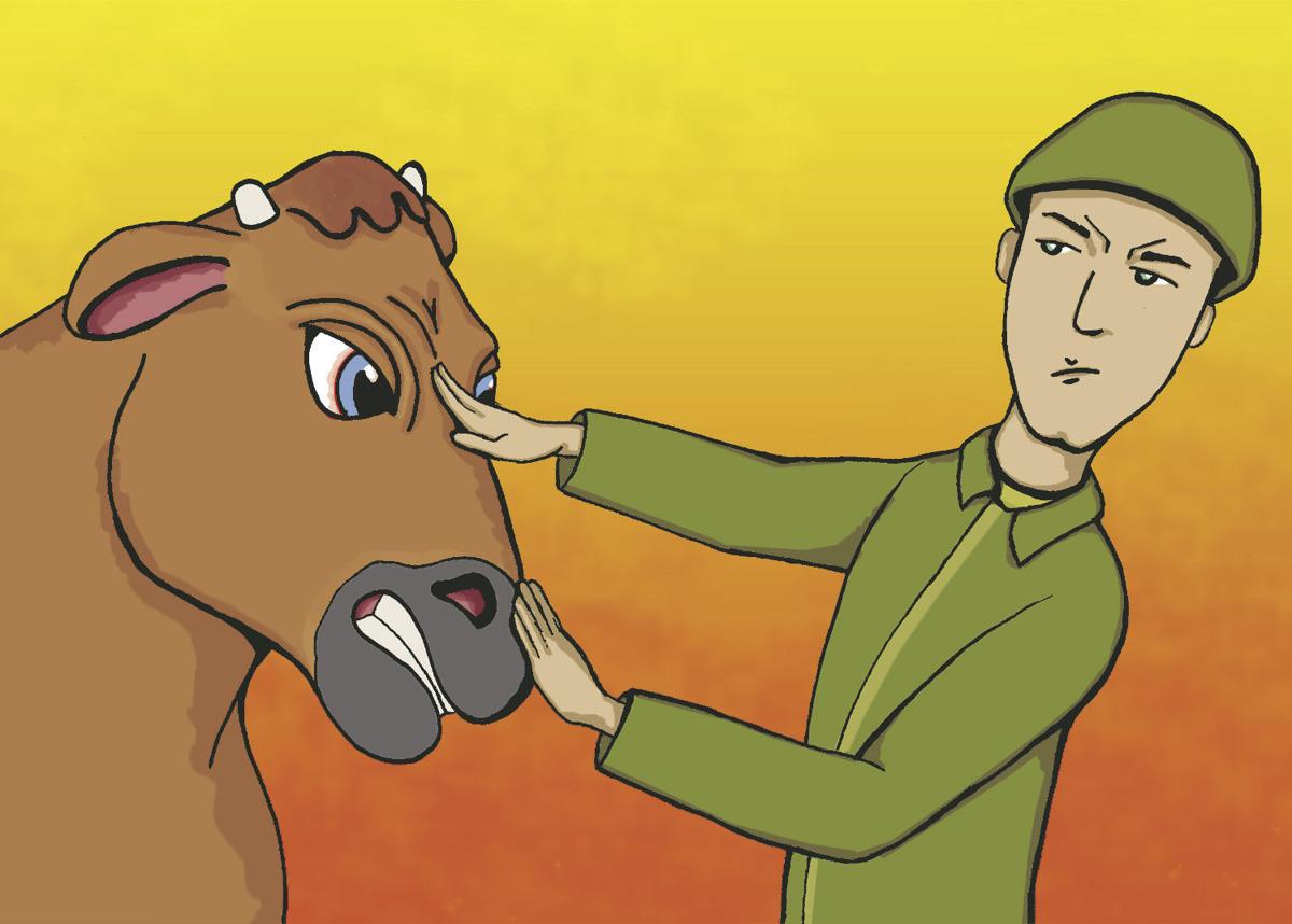 Robin Beres Column How Mad Cow Disease Restricts The American Blood Supply Editorial Richmond Com