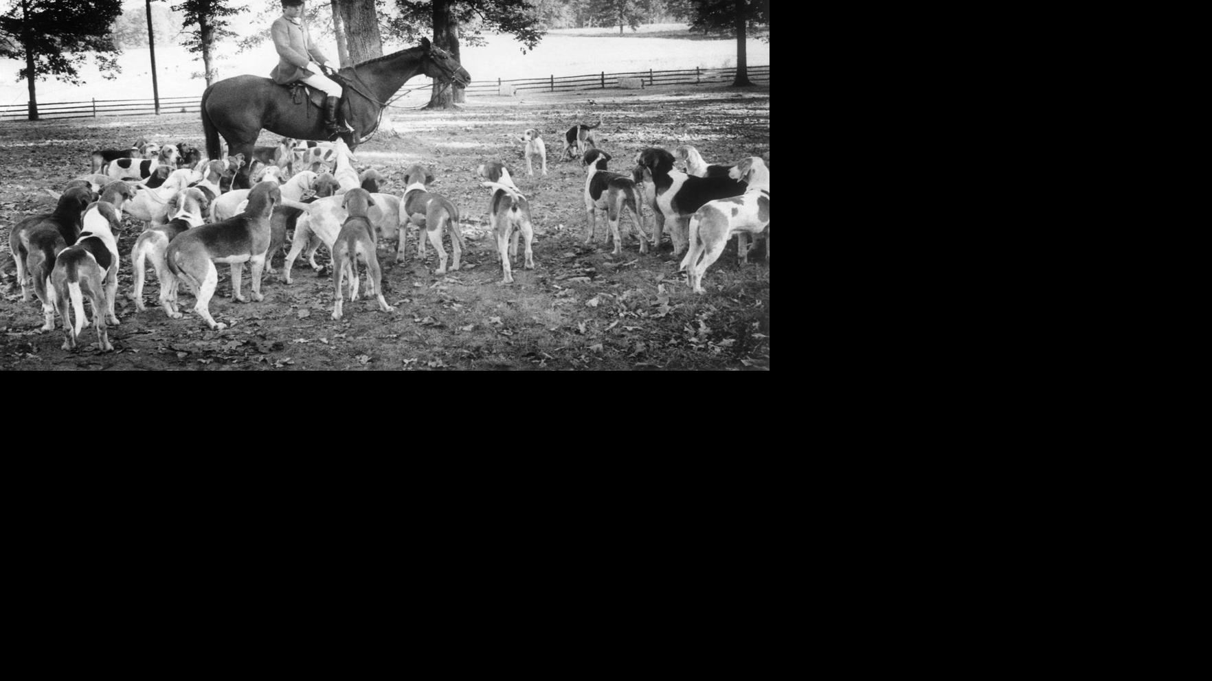 From the Archives Fox Hunting in Virginia From the Archives