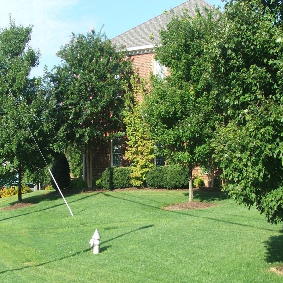 Gardening Q A Making Use Of Native Bermuda Grass In Lawns