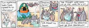 BreakingCatNews_261009.jpg