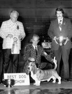 dog show