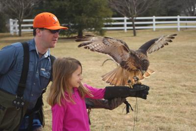 Clarkson Falconry Is A Fascinatingly Remarkable Way To Hunt