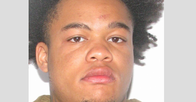 Petersburg shooting kills one; suspect charged with murder - Vimarsana News