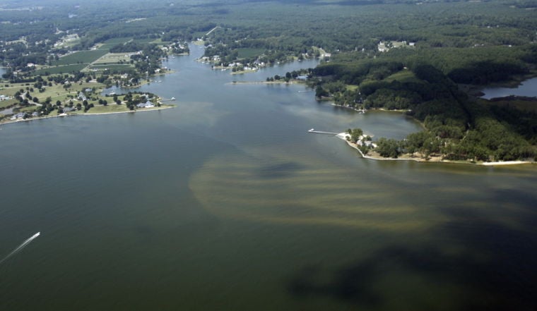 Judge upholds pollution fight in Chesapeake Bay cleanup - Richmond ...