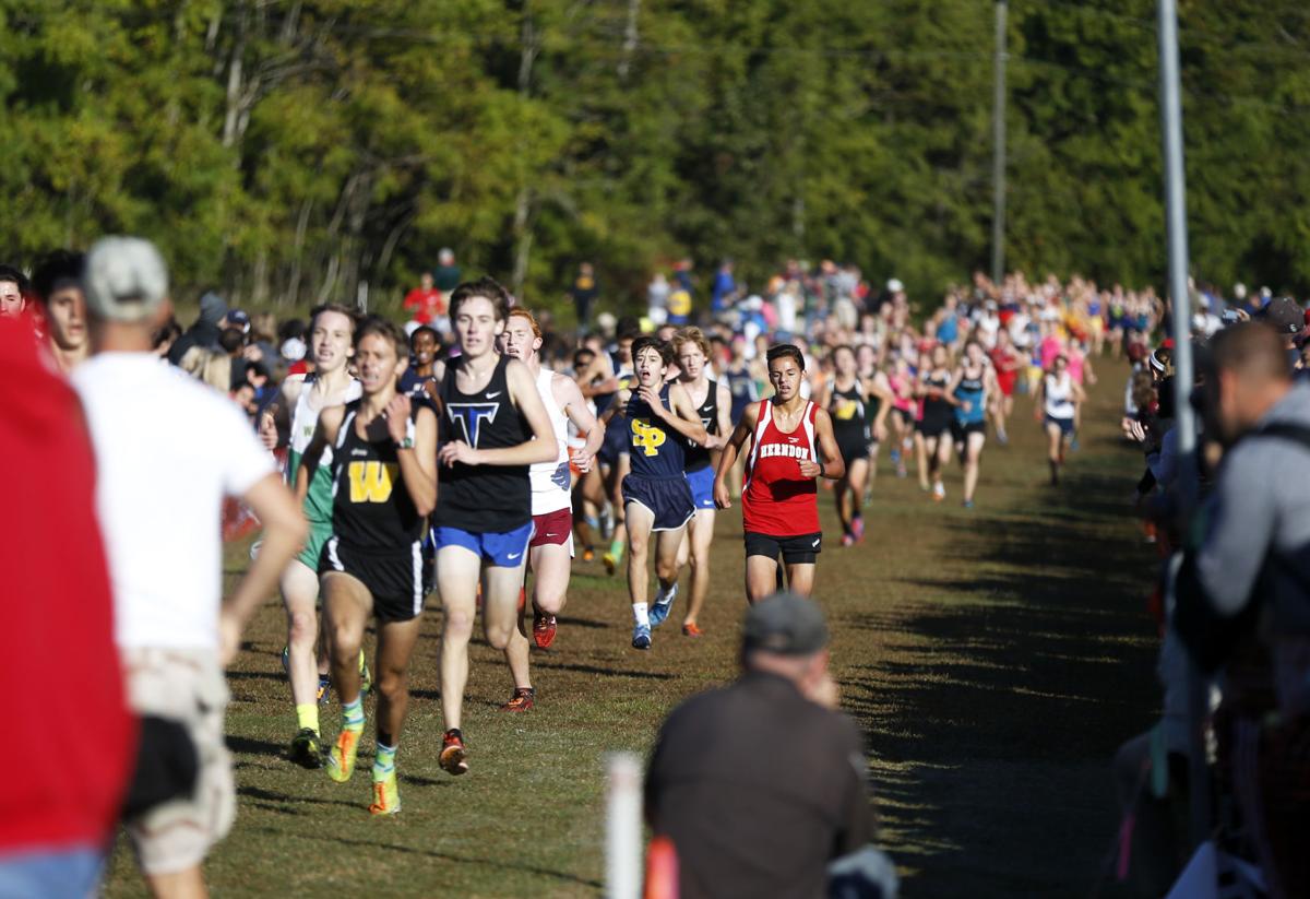 PHOTOS The XC Invitational at Pole Green Park Gallery