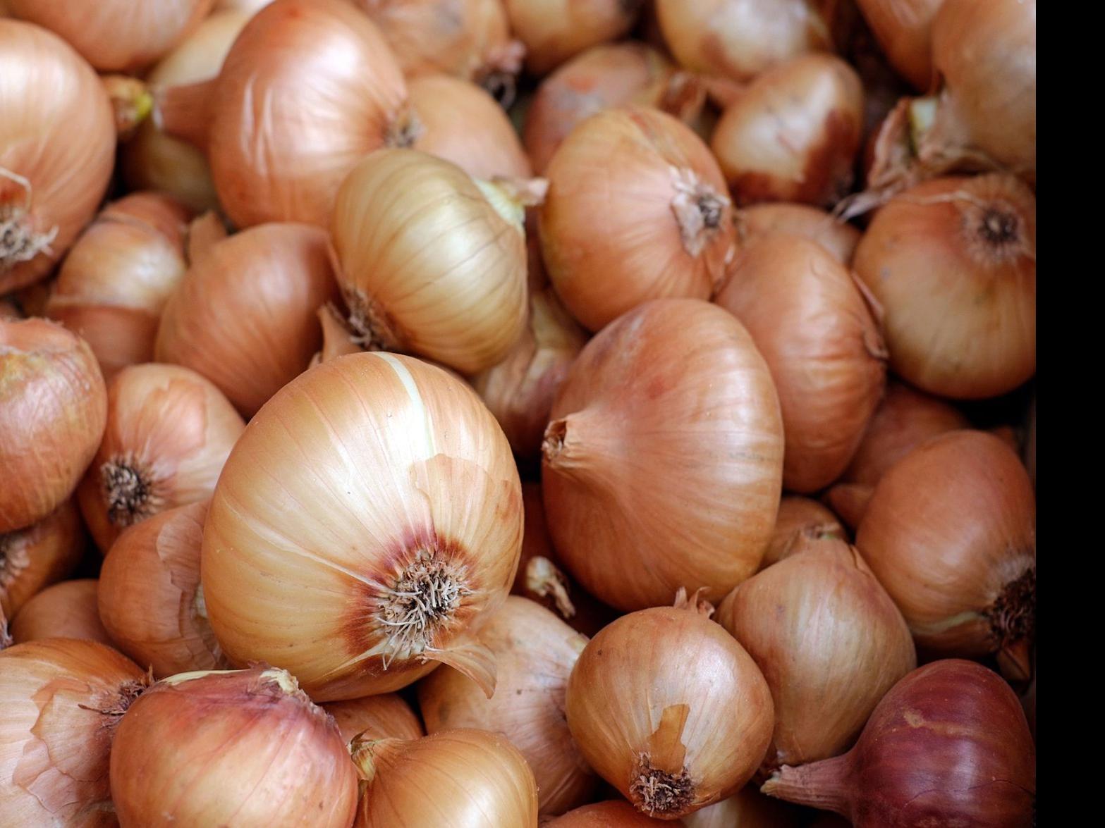 On Onions Killing Viruses National News Richmond Com Put onion in your socks and this will happen. on onions killing viruses national