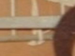 Tyler James Obituaries Richmond Com