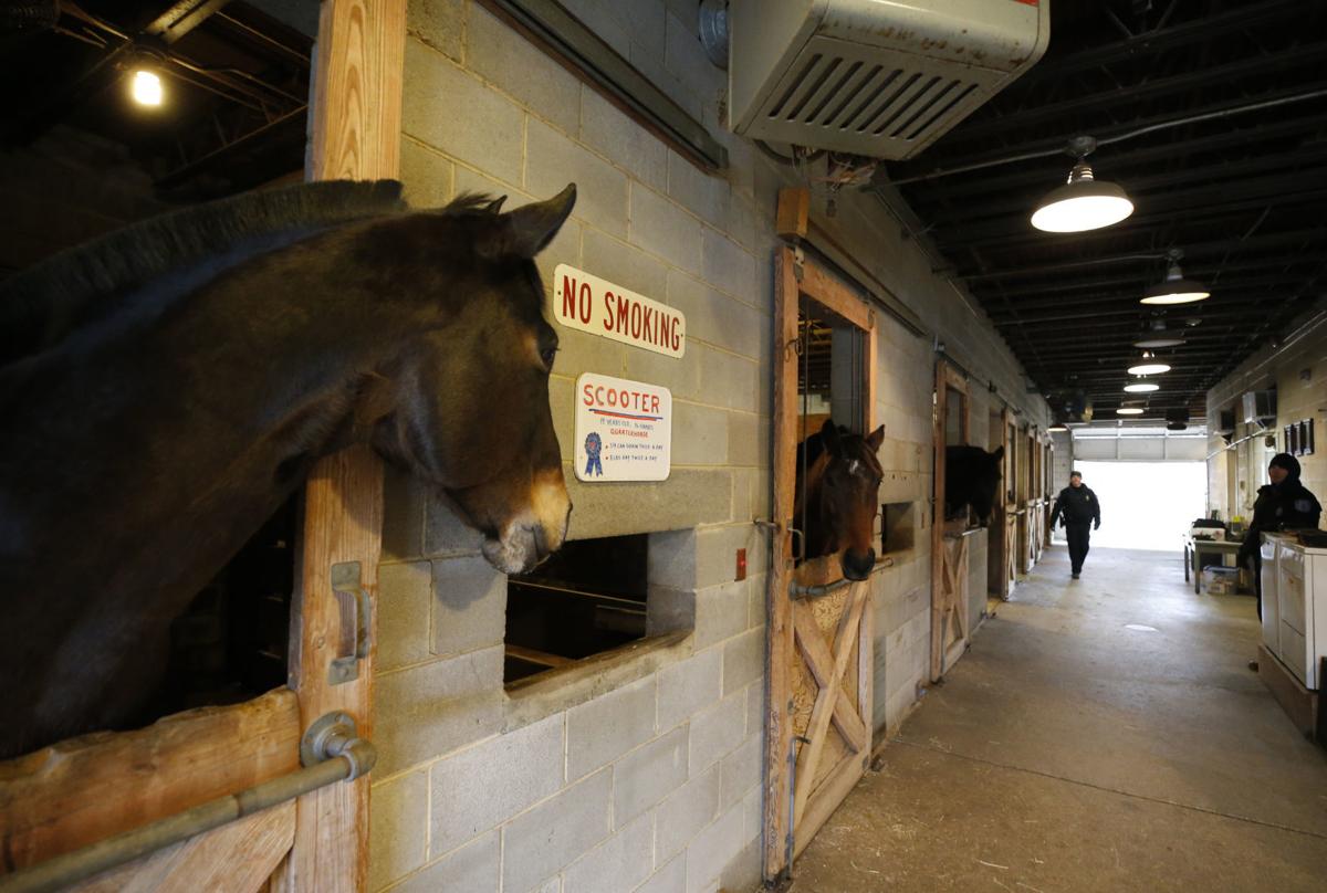 New Barn For Richmond Mounted Unit Delayed As Bids Come In More