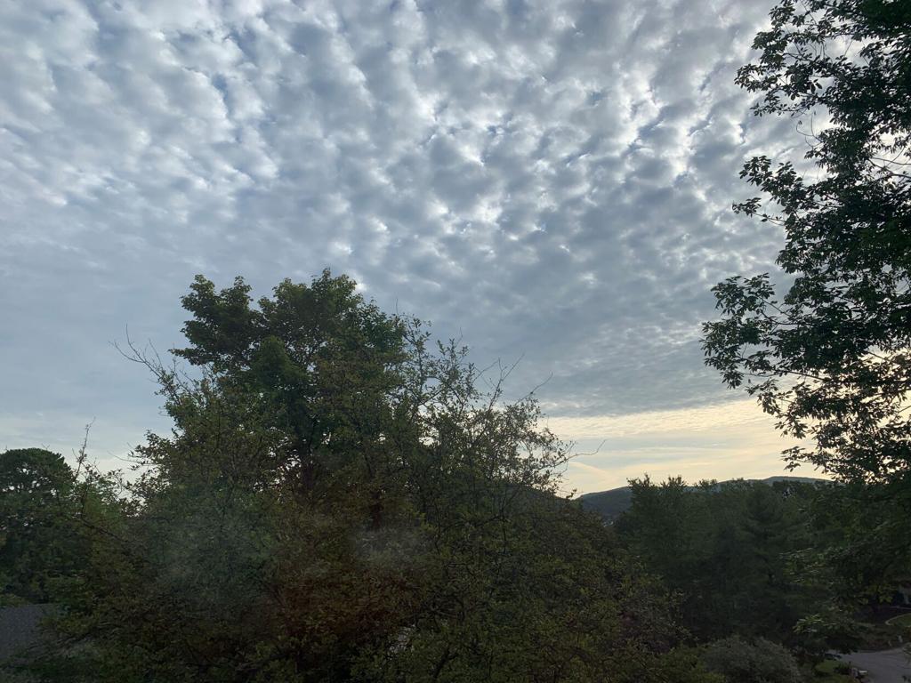 Weather Journal: A tornado scare in Blacksburg kicks off effects of former  Hurricane Ida | State and Regional News | richmond.com