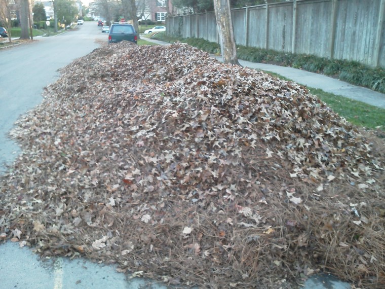 Why Richmond Leaf Collection Concerns Why Richmond Leaf Collection