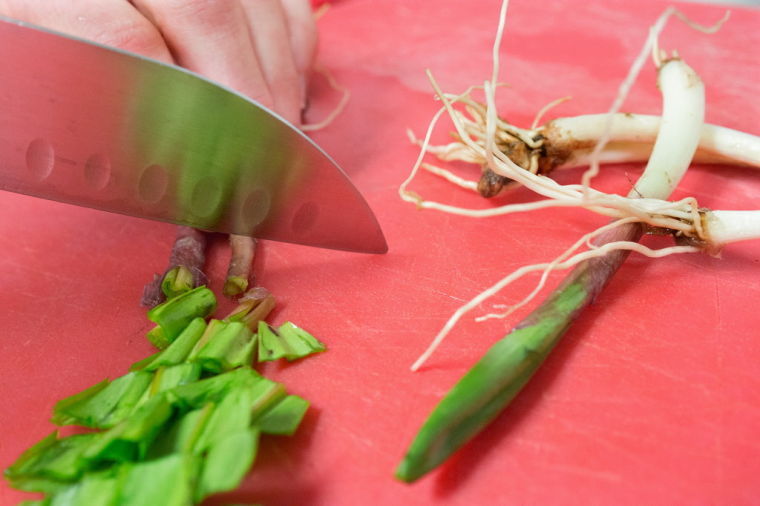 It’s Ramps Season So What’s The Big Deal?