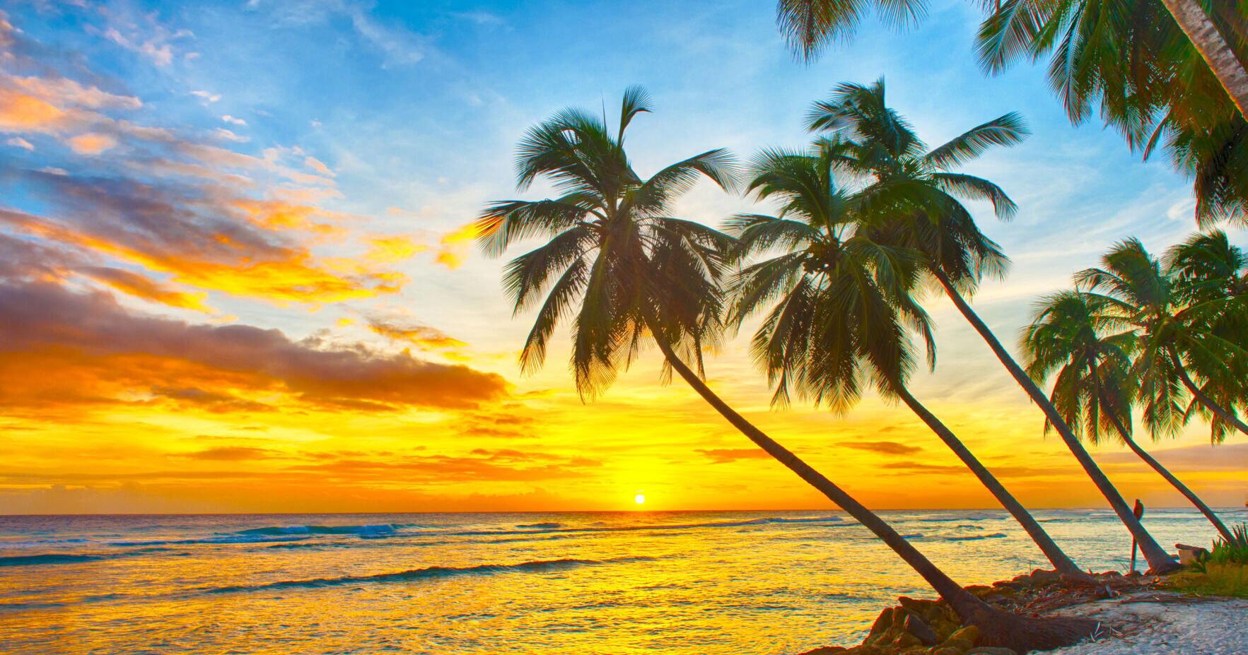Taking the kids: To Barbados - Vimarsana News