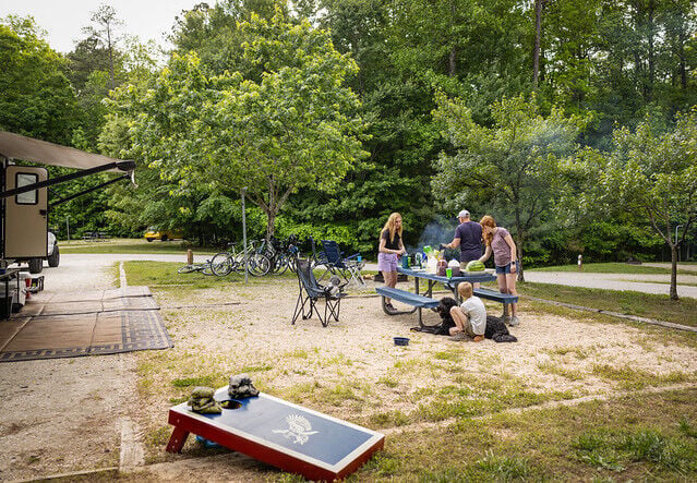Pet safety tips for visiting Virginia State Parks