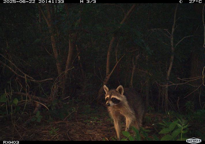 What’s In DWR’s Back Yard?