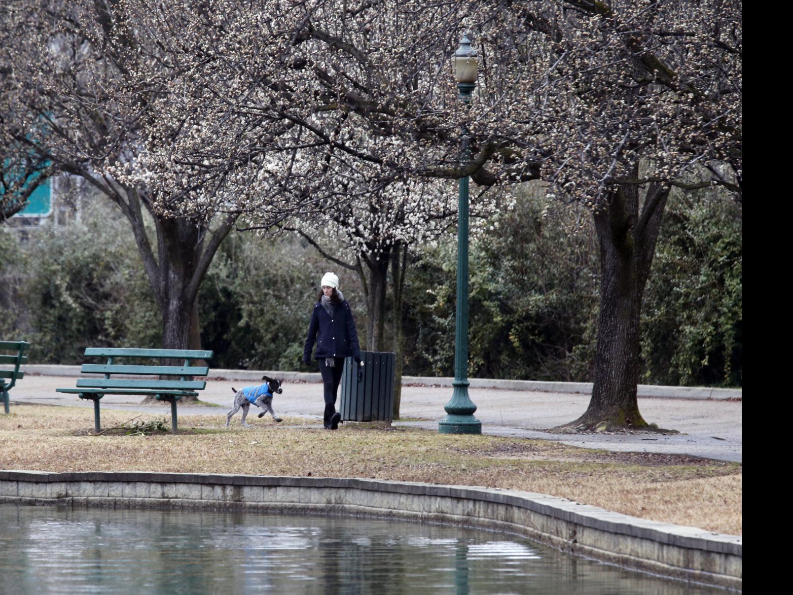 This Wasn T Richmond S Wettest Winter But Don T Be Surprised If