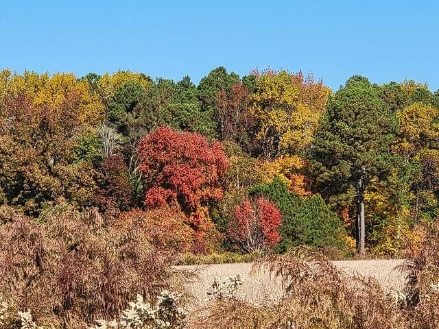 Fall on the East Coast