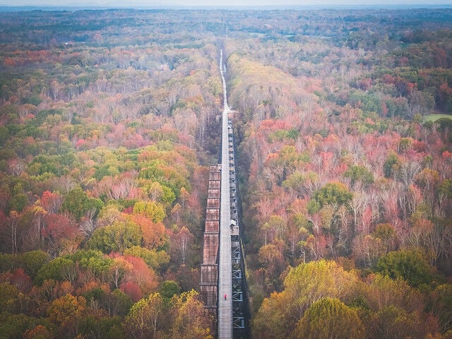 Fall at the Farmville 5