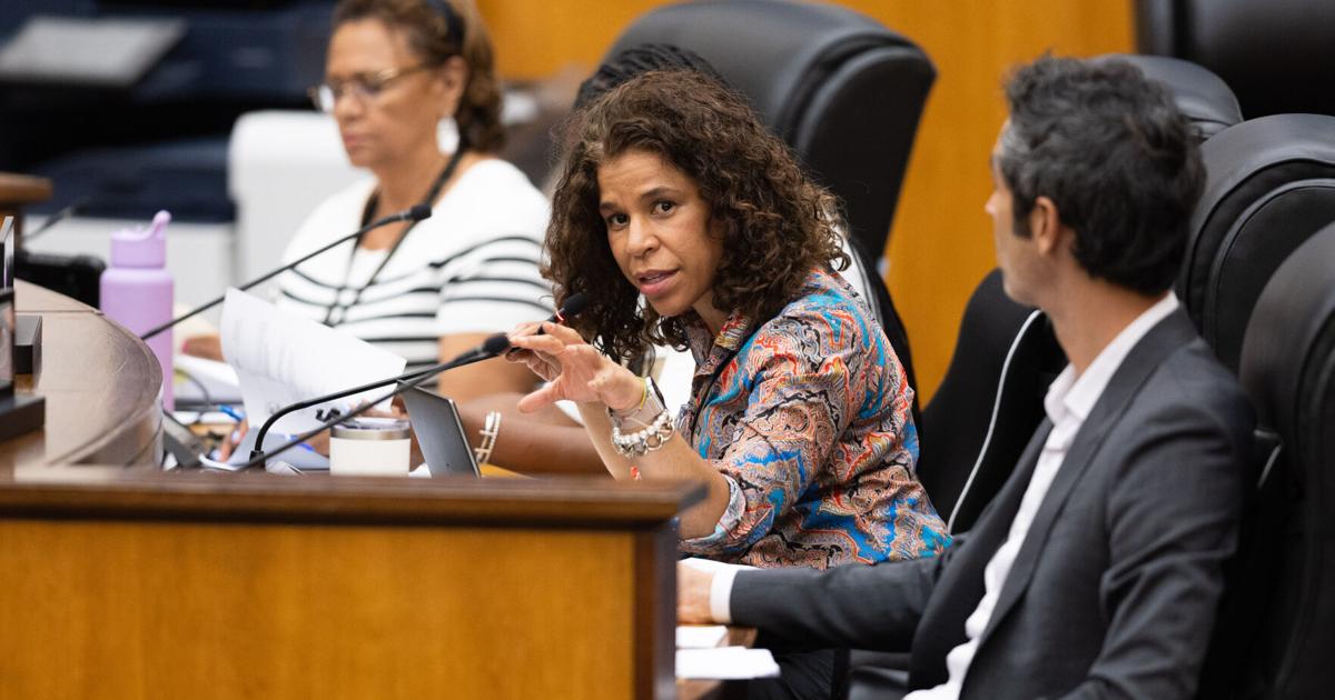 Councilwoman calls for investigation into housing authority over ...