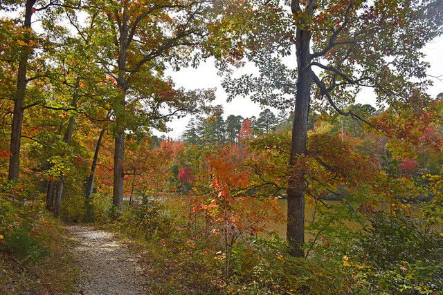 Fall at the Farmville 5