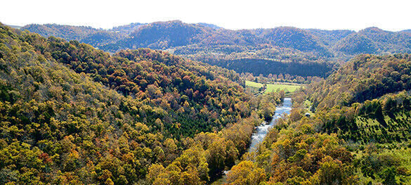 Fall foliage at Virginia State Parks: Peak periods by region