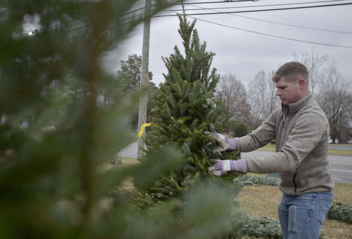 Bedford Tree Farmer Offers Advice On Picking The Perfect Tree Virginia Richmond Com