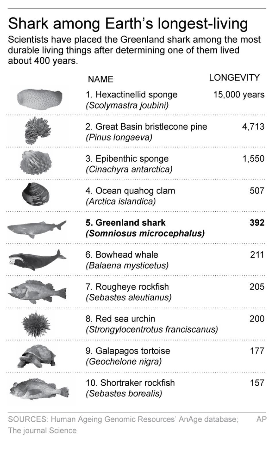 Longest Lived Animals Richmond Com