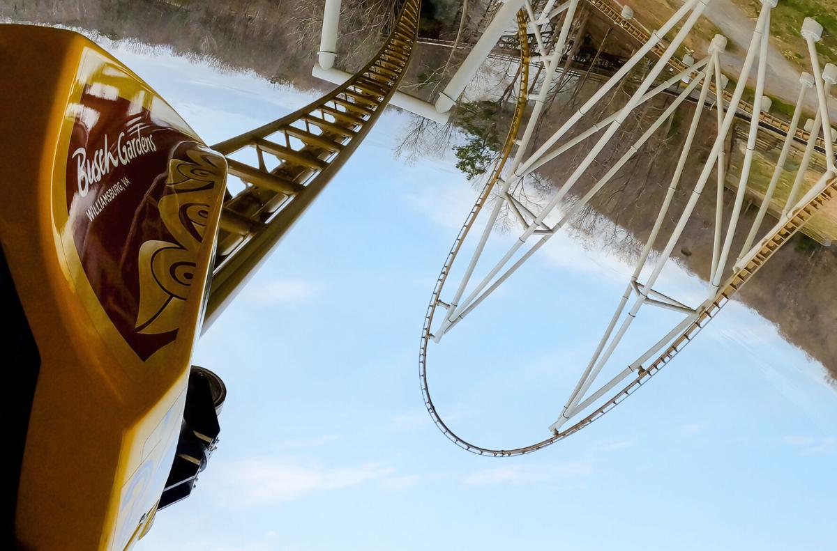 Pantheon, Busch Gardens Williamsburg's newest roller coaster, now open