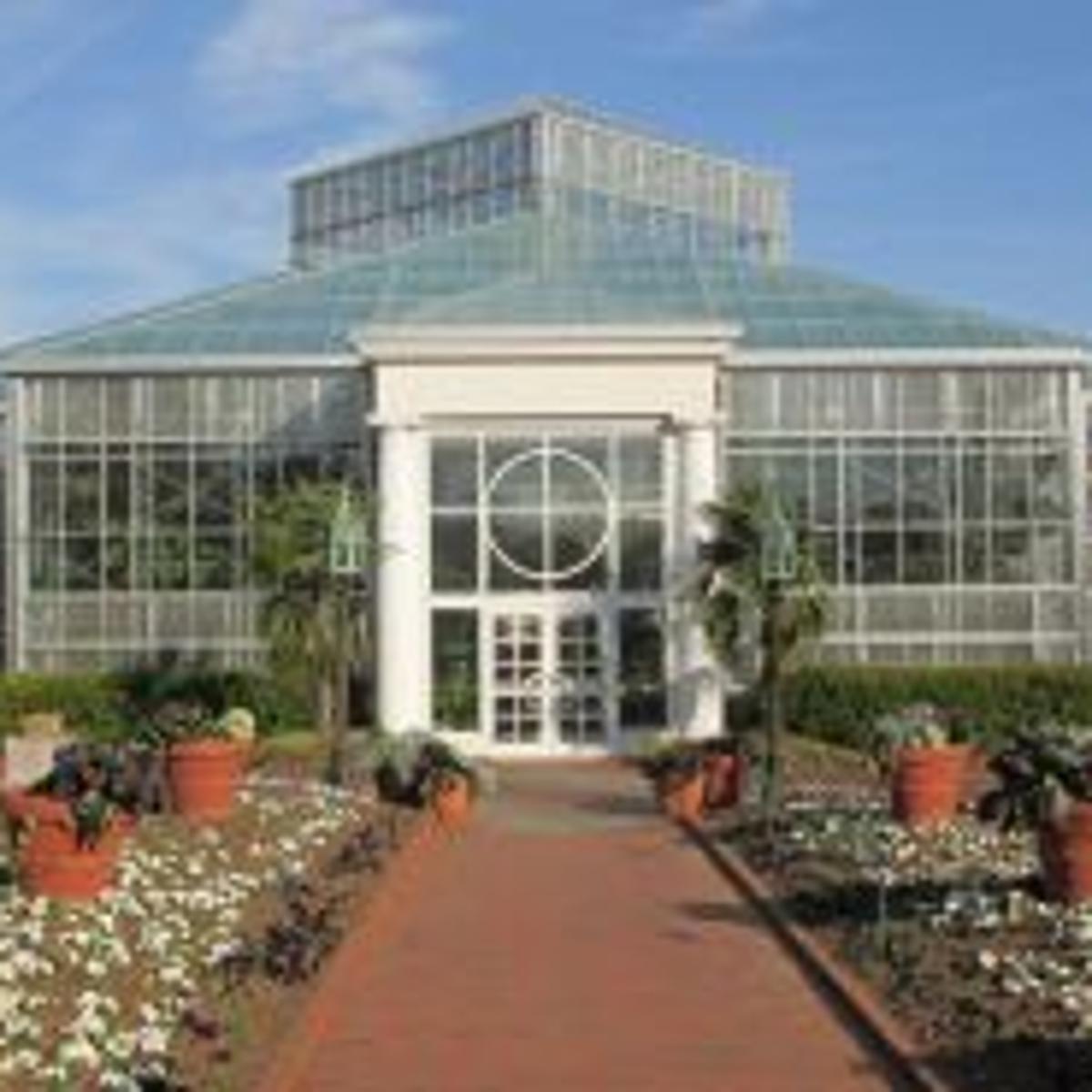 Orchids Daniel Stowe Botanical Garden Conservatory Display
